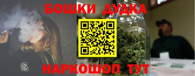 PSILOCYBIN Гатчина