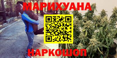 гидра Берёзовский