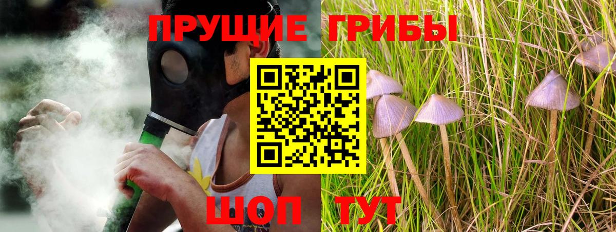 Галлюциногенные грибы Psilocybe  Псилоцибиновые грибы прущие грибы  Вход с VPN  Ивантеевка 