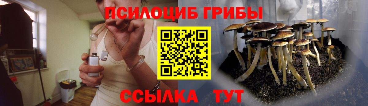 Псилоцибиновые грибы Psilocybe Ивантеевка